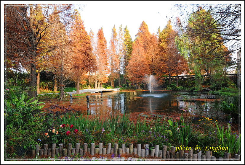 2014菁芳園(10).JPG 2014菁芳園(10).JPG