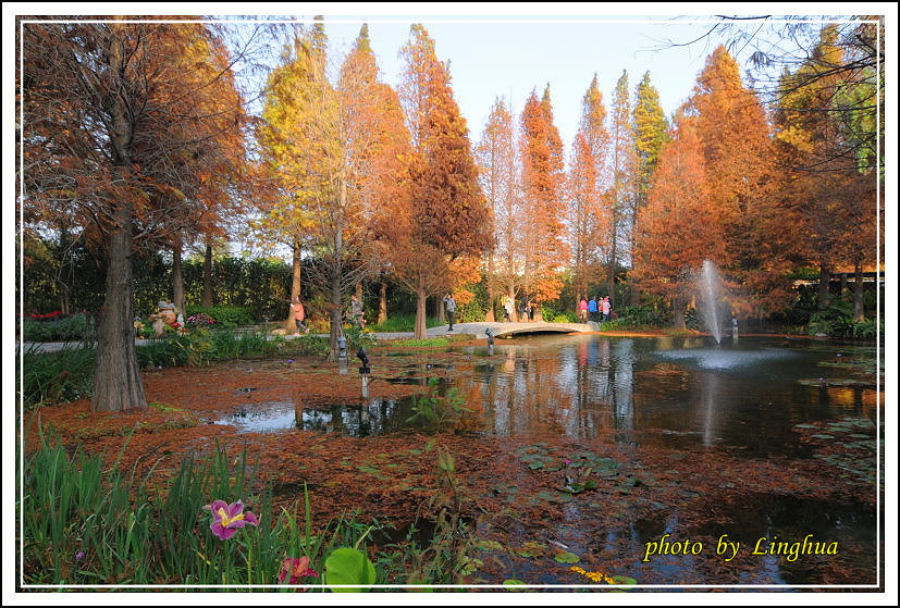 2014菁芳園(11).JPG 2014菁芳園(11).JPG