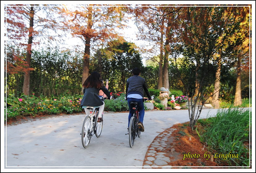 2014菁芳園(12).JPG 2014菁芳園(12).JPG