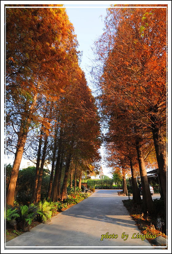 2014菁芳園(14).JPG 2014菁芳園(14).JPG