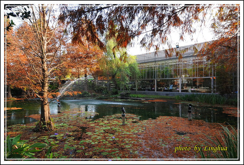 2014菁芳園(2).JPG 2014菁芳園(2).JPG