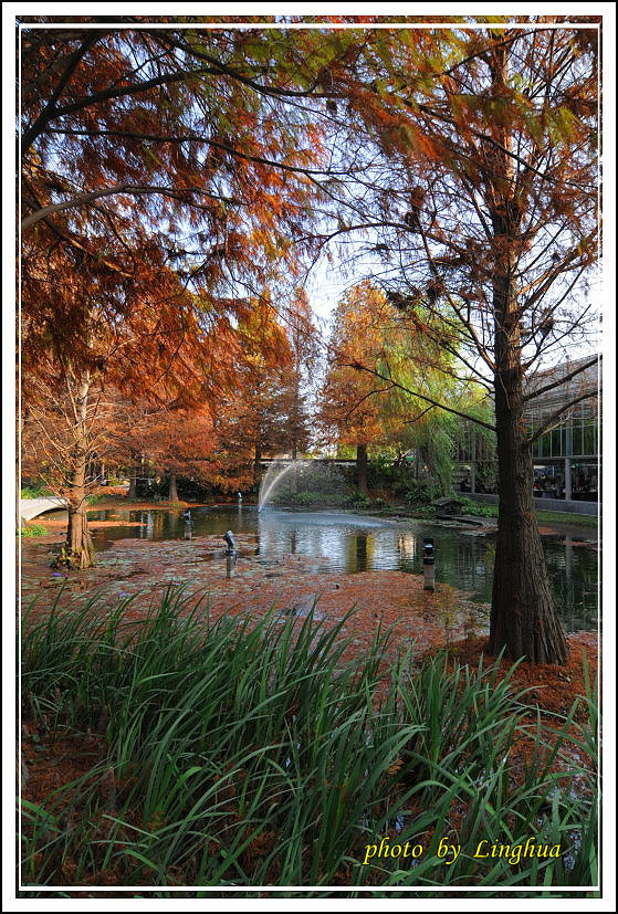 2014菁芳園(3).JPG 2014菁芳園(3).JPG