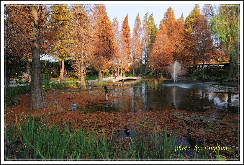 2014菁芳園(4).JPG 2014菁芳園(4).JPG