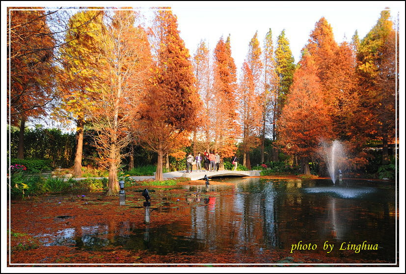2014菁芳園(5).JPG 2014菁芳園(5).JPG