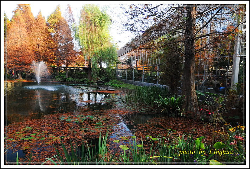 2014菁芳園(6).JPG 2014菁芳園(6).JPG