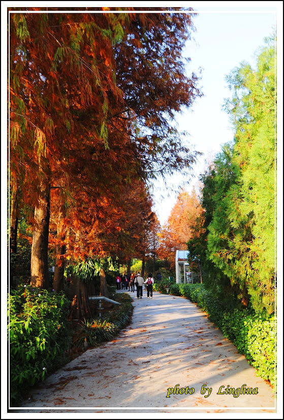 2014菁芳園(7).JPG 2014菁芳園(7).JPG
