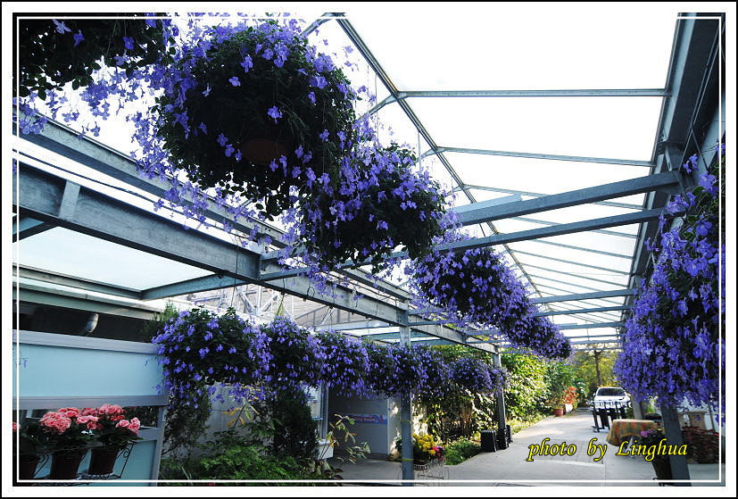 2014菁芳園(8).JPG 2014菁芳園(8).JPG