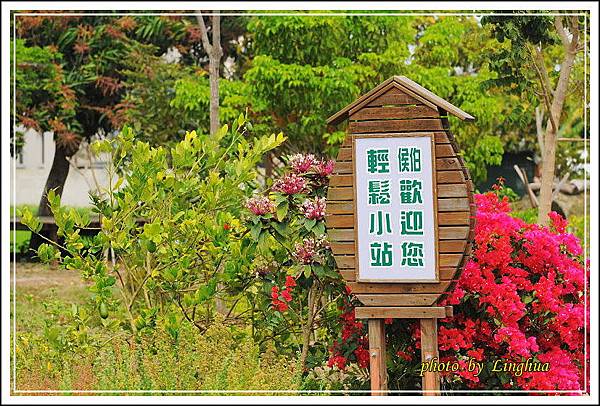 學甲.土溝.林初埤 (11).JPG