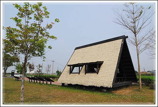 學甲.土溝.林初埤 (13).JPG