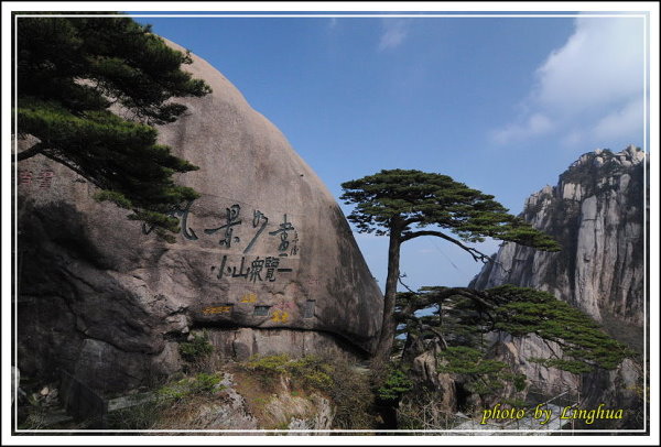 DSC_9011.JPG DSC_9011.JPG