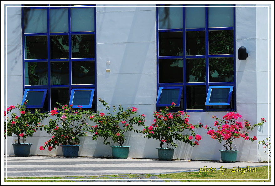 201408花東行(8).JPG 201408花東行(8).JPG
