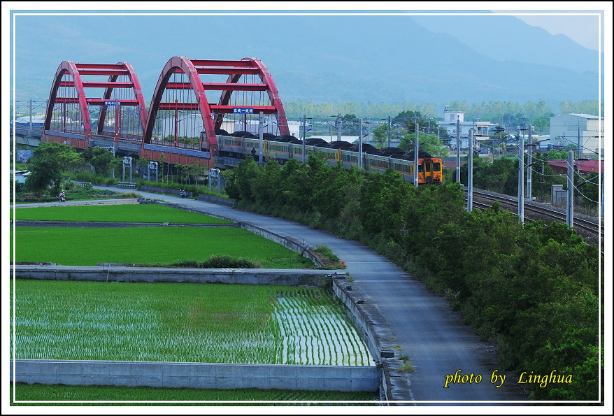 201408花東行(24).JPG 201408花東行(24).JPG