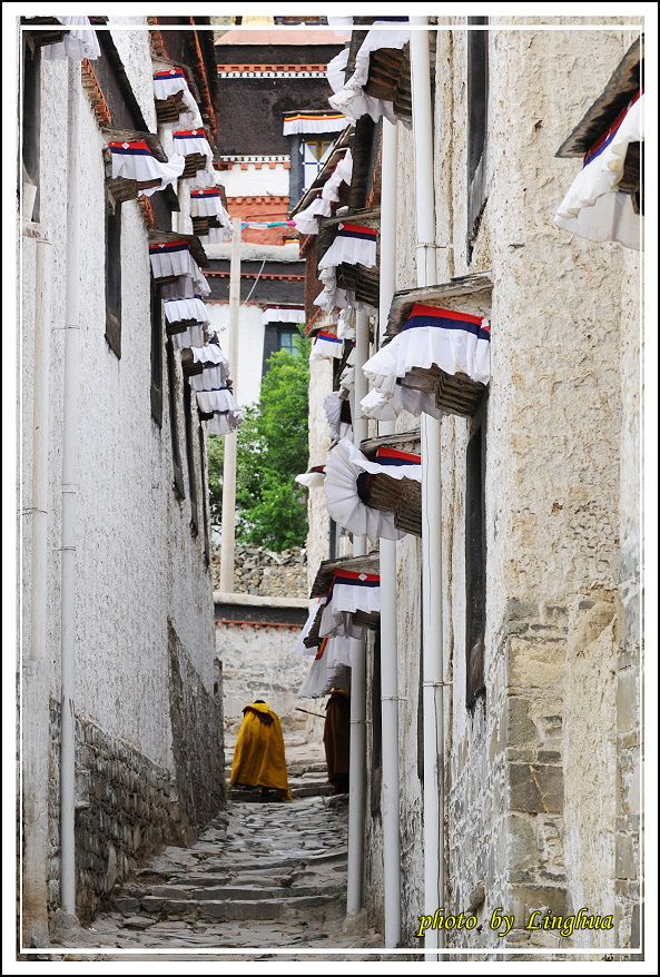 札什倫布寺(20).JPG