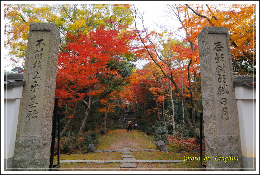 京都~衣笠山地藏院(4).JPG