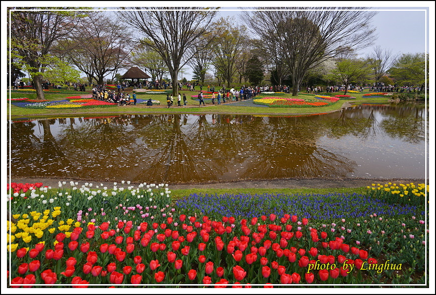 日本昭和紀念公園(2).JPG