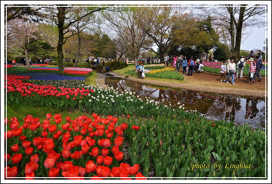 日本昭和紀念公園(8).JPG