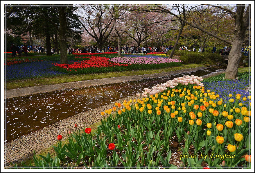 日本昭和紀念公園(13).JPG