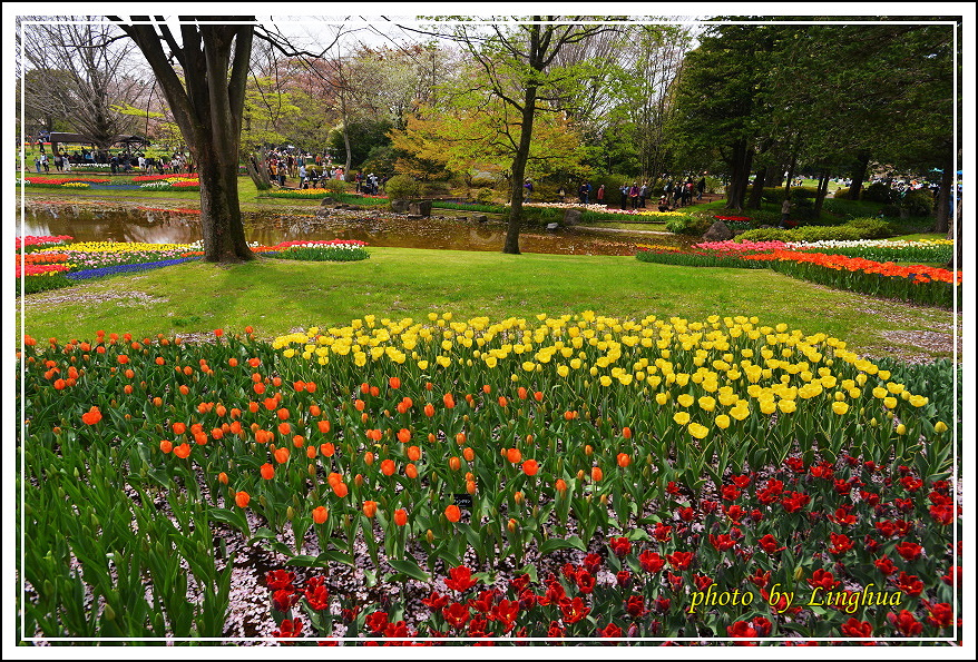 日本昭和紀念公園(17).JPG