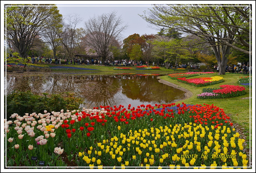 日本昭和紀念公園(22).JPG