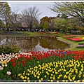 日本昭和紀念公園(22).JPG