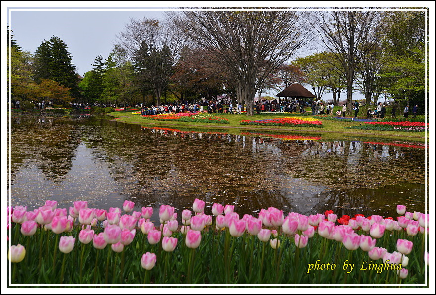 日本昭和紀念公園(23).JPG