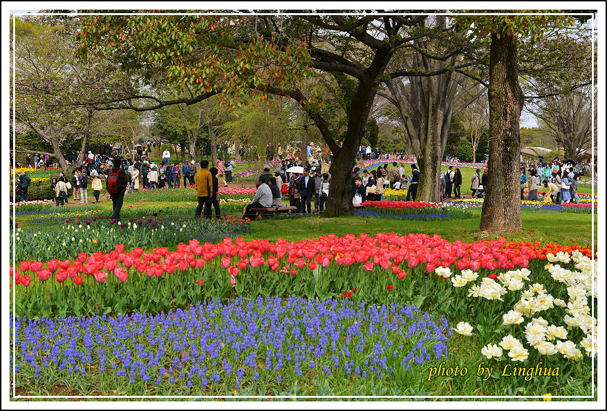 日本昭和紀念公園(26).JPG