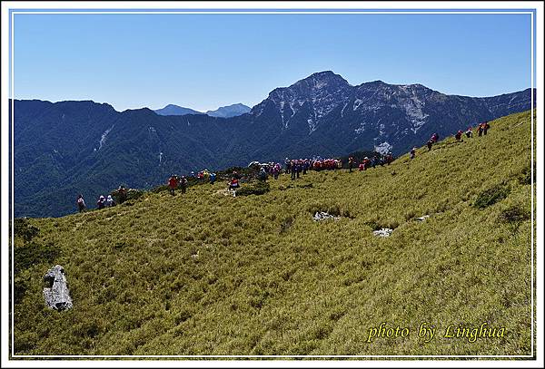 2015合歡東峰高山杜鵑(4).JPG