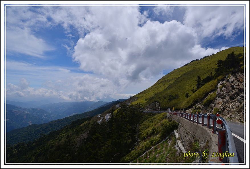 2015合歡主峰高山杜鵑(3).JPG