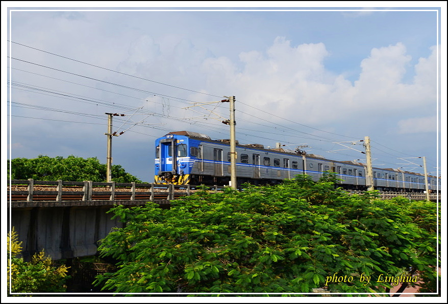 大樹舊鐵橋(18).JPG