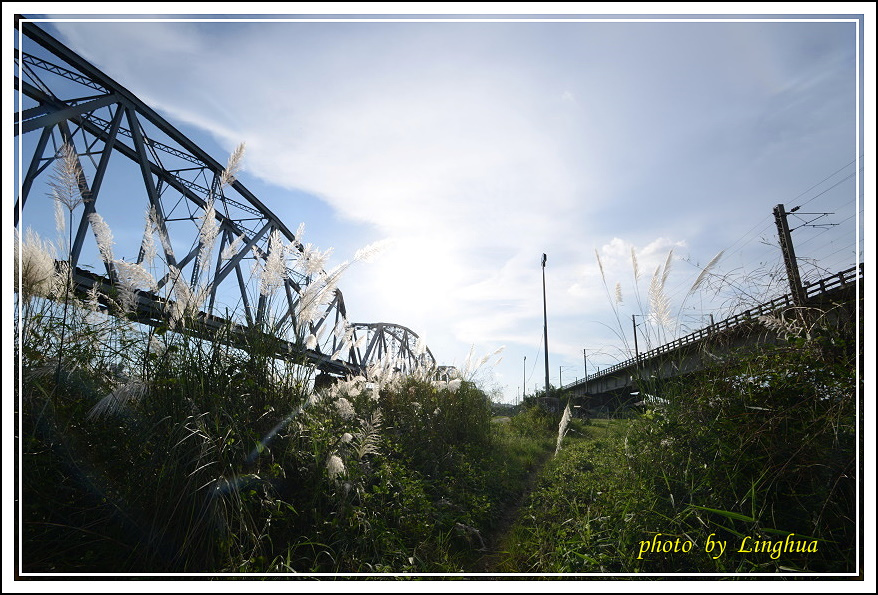 大樹舊鐵橋(27).JPG