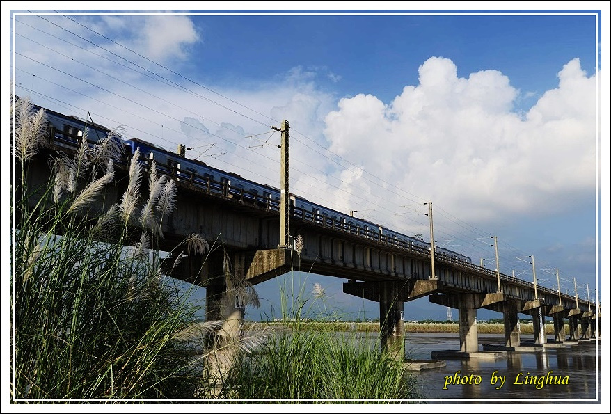 大樹舊鐵橋(28).JPG