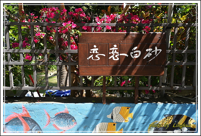 2015墾丁白砂灣(29).JPG 2015墾丁白砂灣(29).JPG