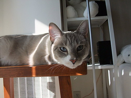 24Iv72GvDSUkwlDCp3oehw[1]