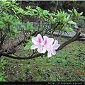 PhotoWindow_20150227205940