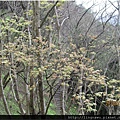 PhotoWindow_20150227205917