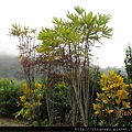 PhotoWindow_20150227205853