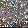 PhotoWindow_20150227210416