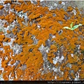 PhotoWindow_20150227210444