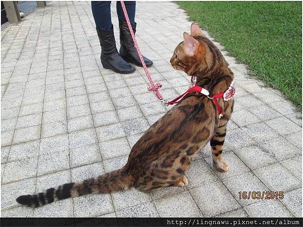 PhotoWindow_20150316214508