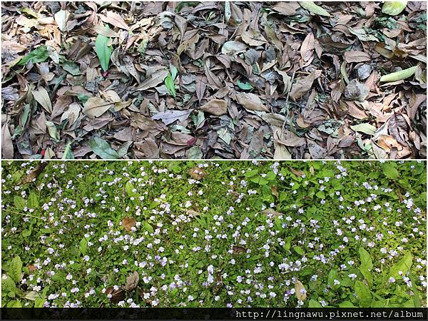 PhotoWindow_20150416204700