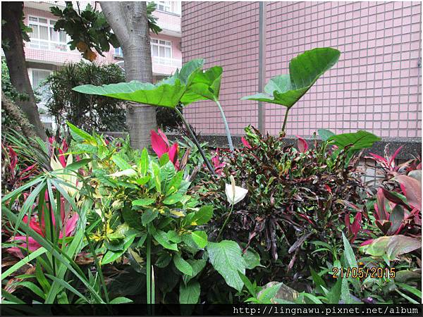 PhotoWindow_20150521180410