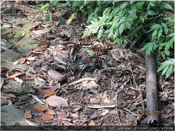 PhotoWindow_20150715153942