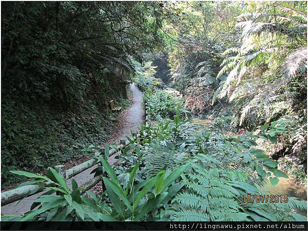 PhotoWindow_20150715154100