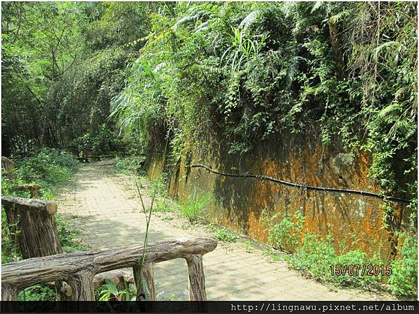 PhotoWindow_20150715154331