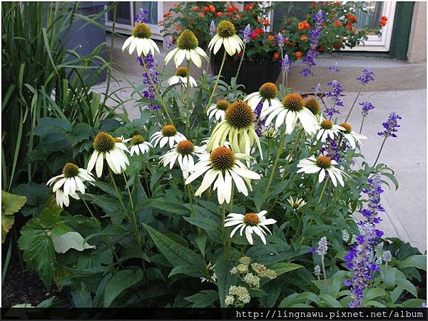 PhotoWindow_20150723010615