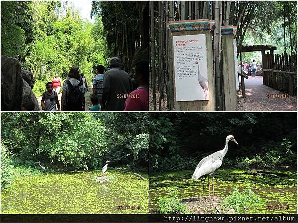 PhotoWindow_20150727080653