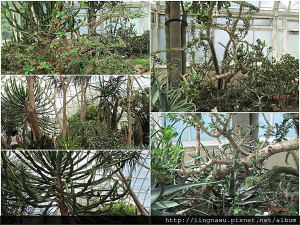 PhotoWindow_20150810071855