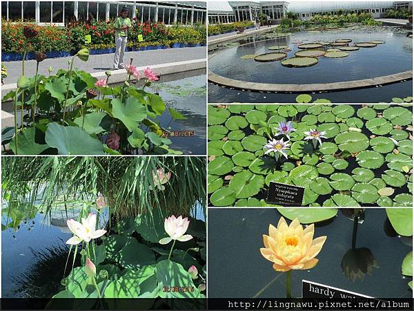 PhotoWindow_20150810101258