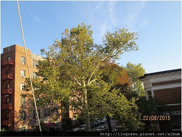 PhotoWindow_20150822215830