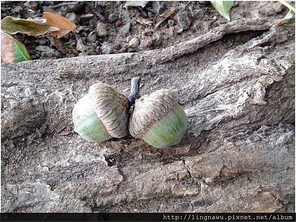 PhotoWindow_20150825002746